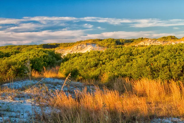 Cumberland Island National Seashore