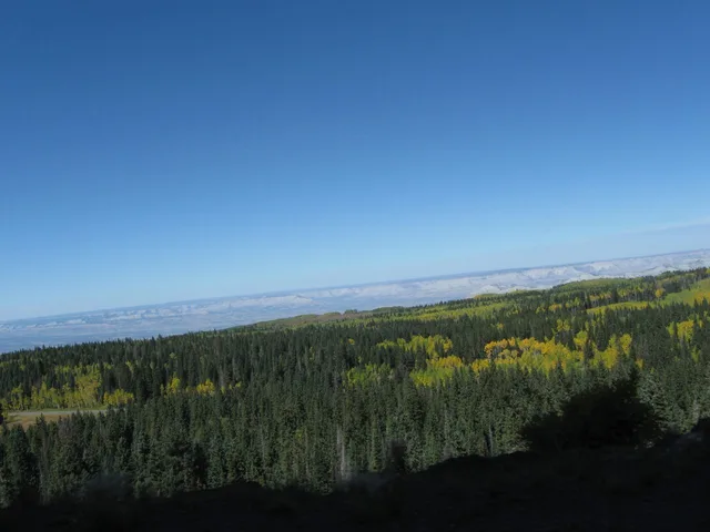 Grand Mesa National Forest