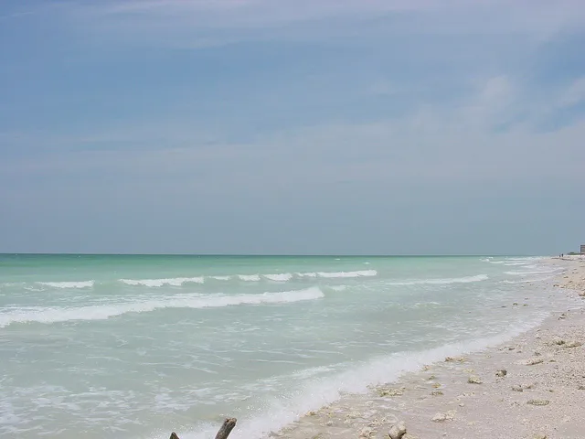 Honeymoon Island State Park