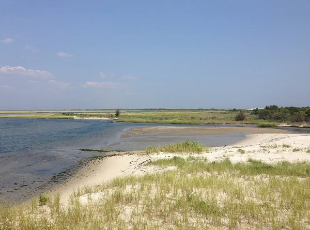Island Beach State Park