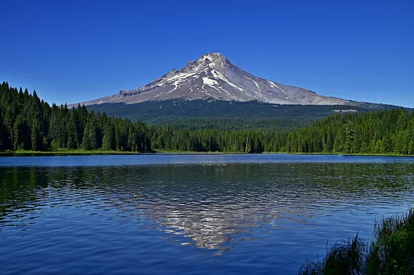 Mount Hood National Forest