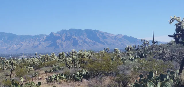 Mount Lemmon