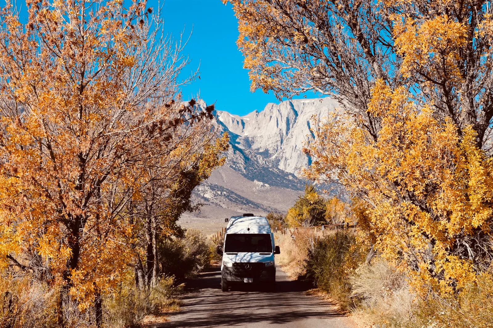Camper van driving through autumn trees toward mountain peaks